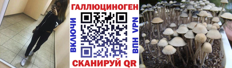 Псилоцибиновые грибы Cubensis  мега tor  Первомайск 